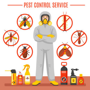 Pest Control Service per Sqft